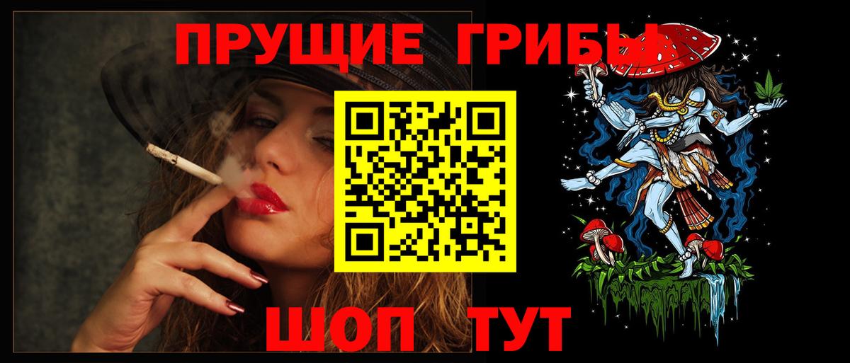 Псилоцибиновые грибы Psilocybine cubensis Мытищи