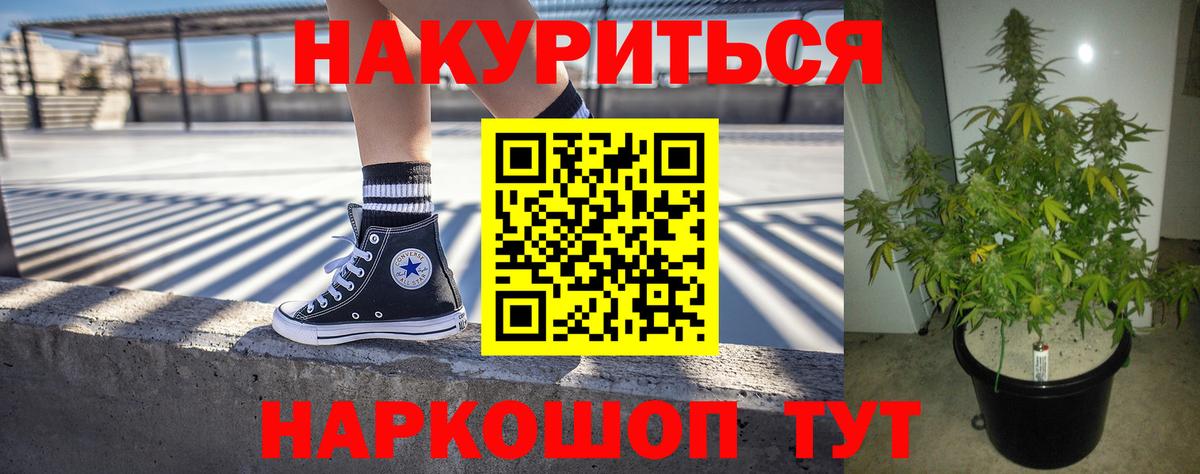 МАРИХУАНА семена Мытищи