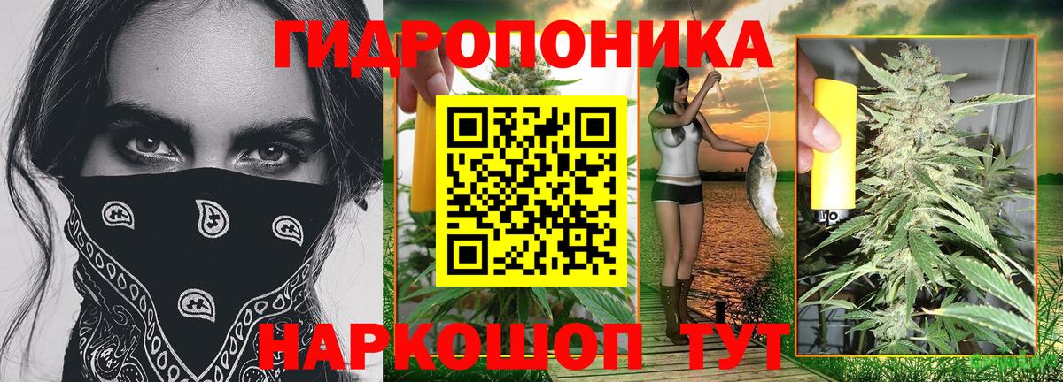 Марихуана White Widow  Марихуана планчик  Вход с VPN  Бошки Шишки марихуана  Мытищи 